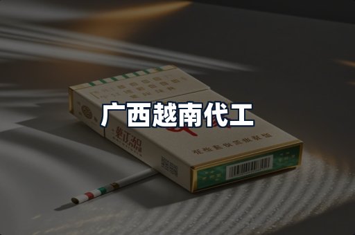 广西越南代工